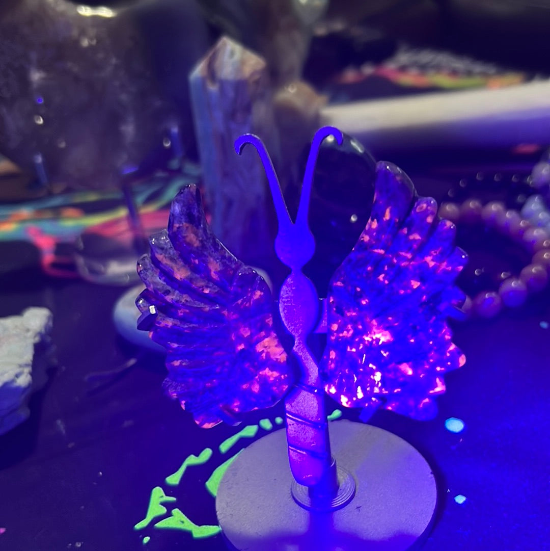 Yooperlite small wings