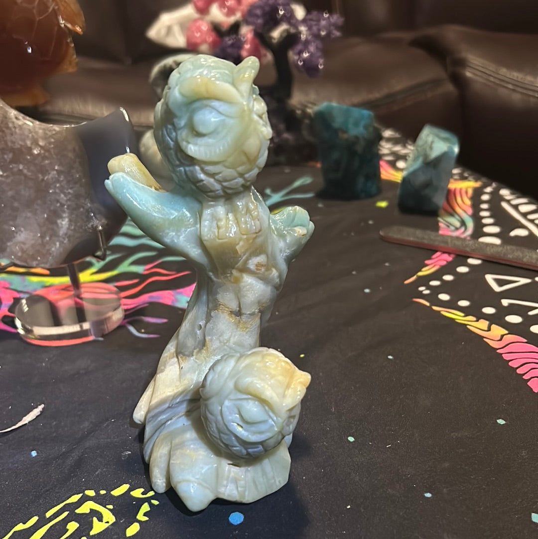 Caribbean calcite owls