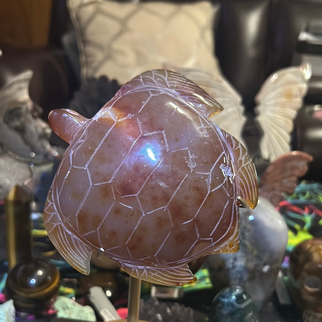 Carnelian turtle