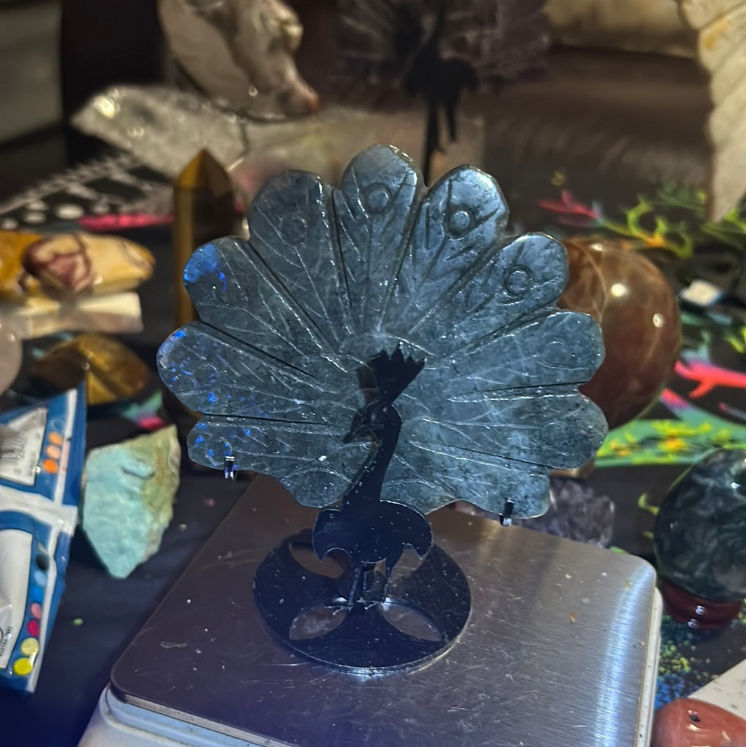 Labradorite peacock