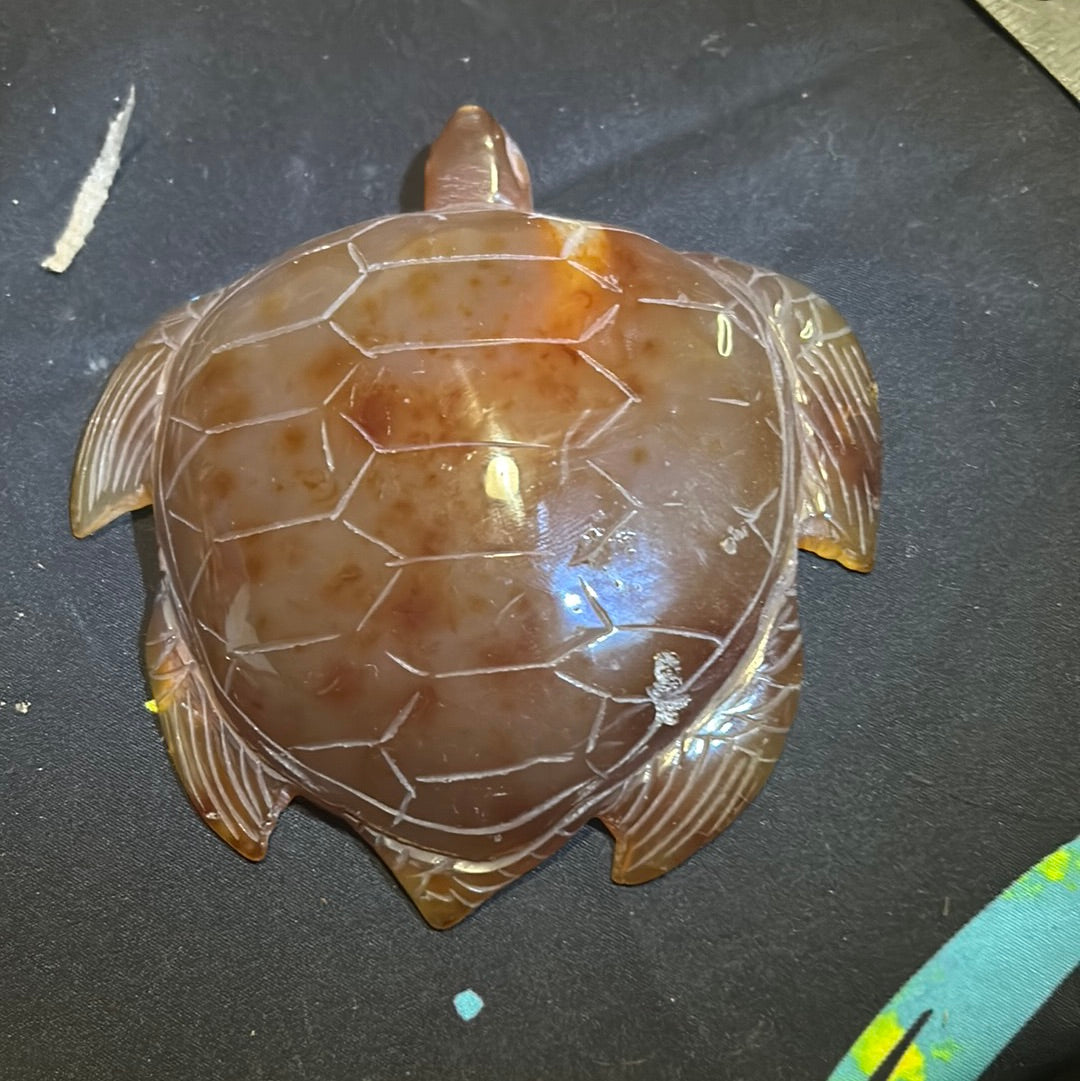 Carnelian turtle