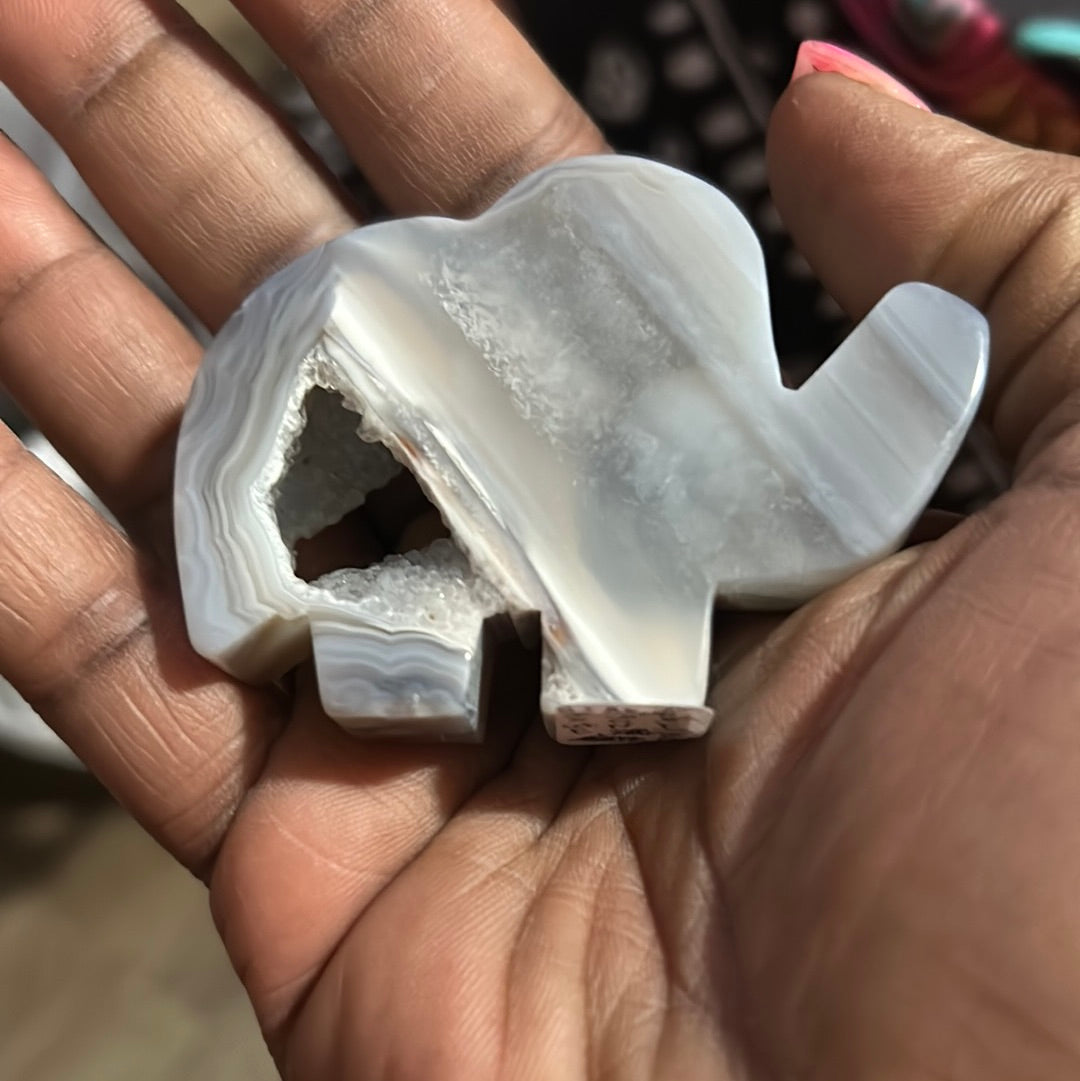 Agate elephant w/Druzy