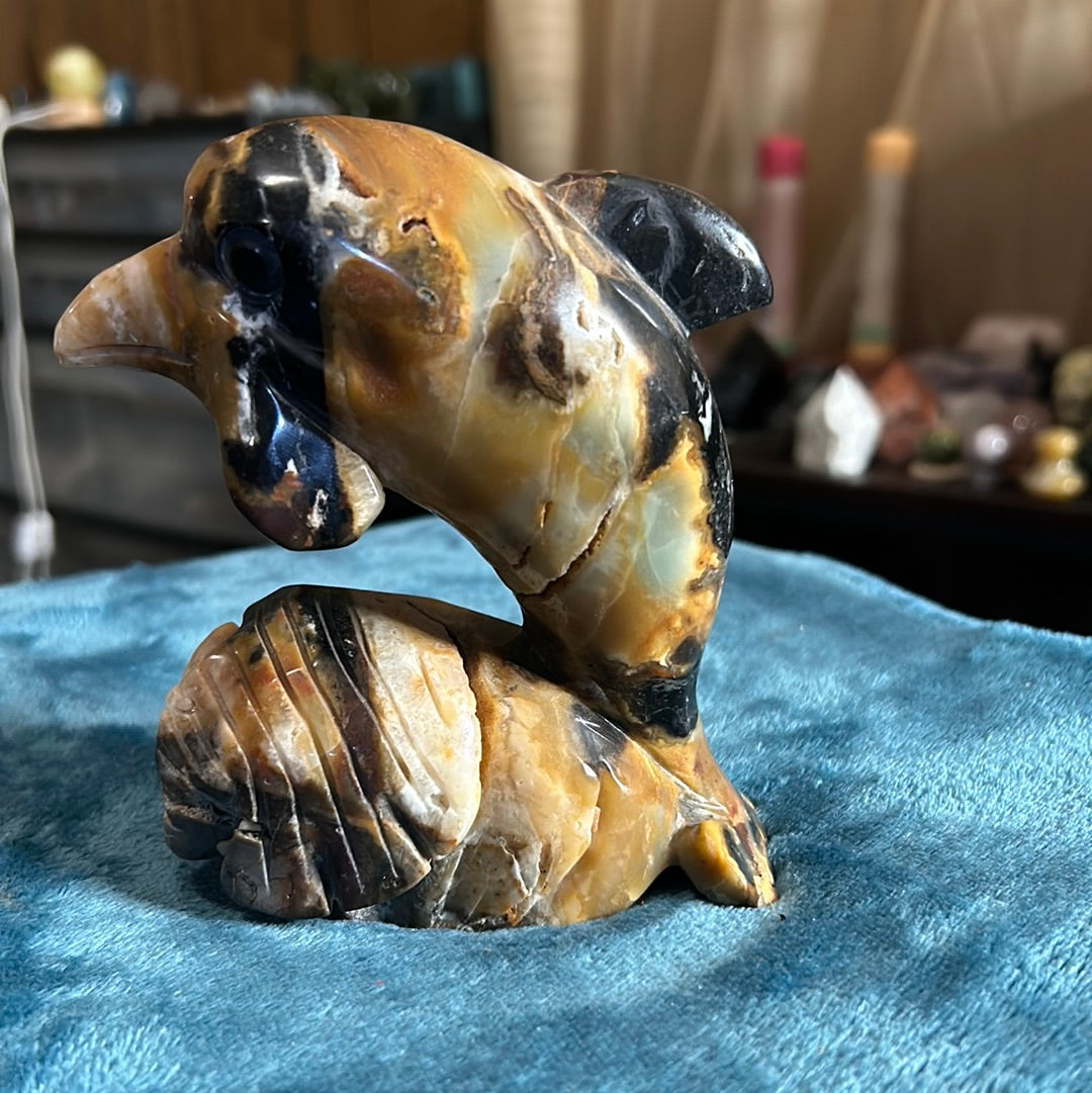 Caribbean calcite, dolphin