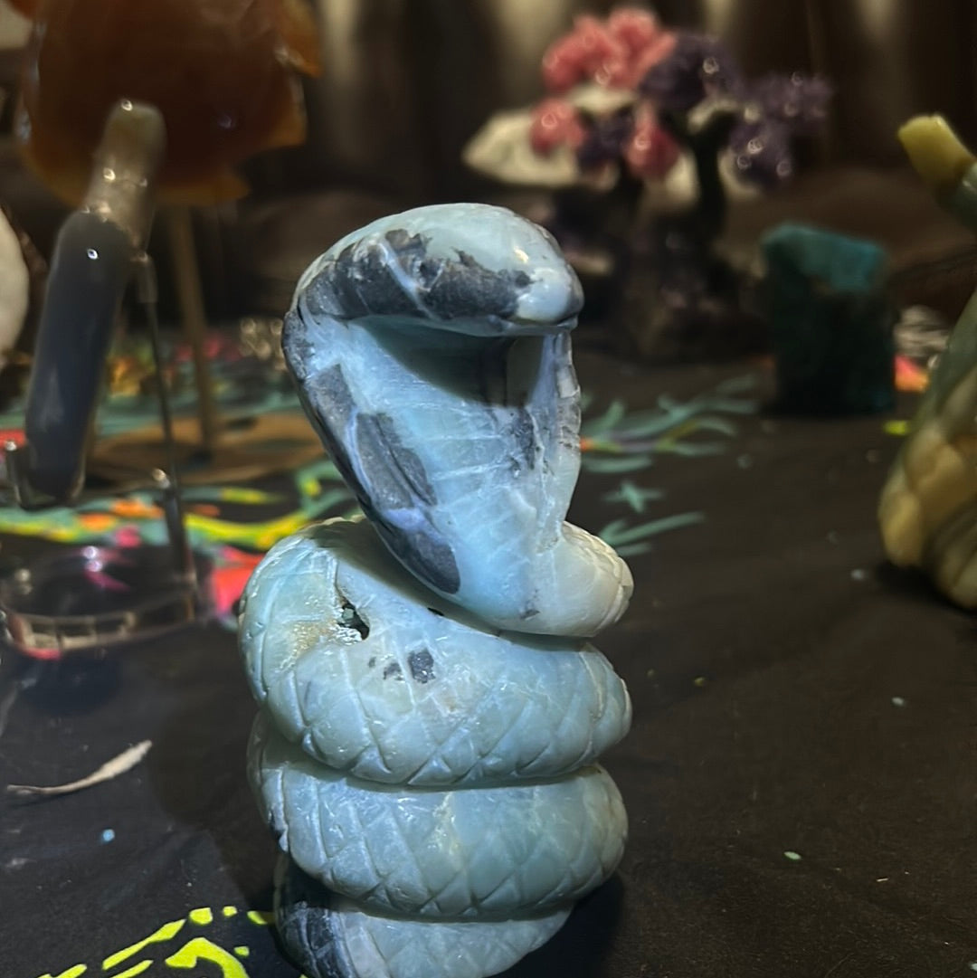 Caribbean calcite cobra