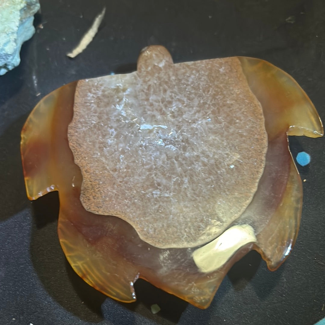 Carnelian turtle