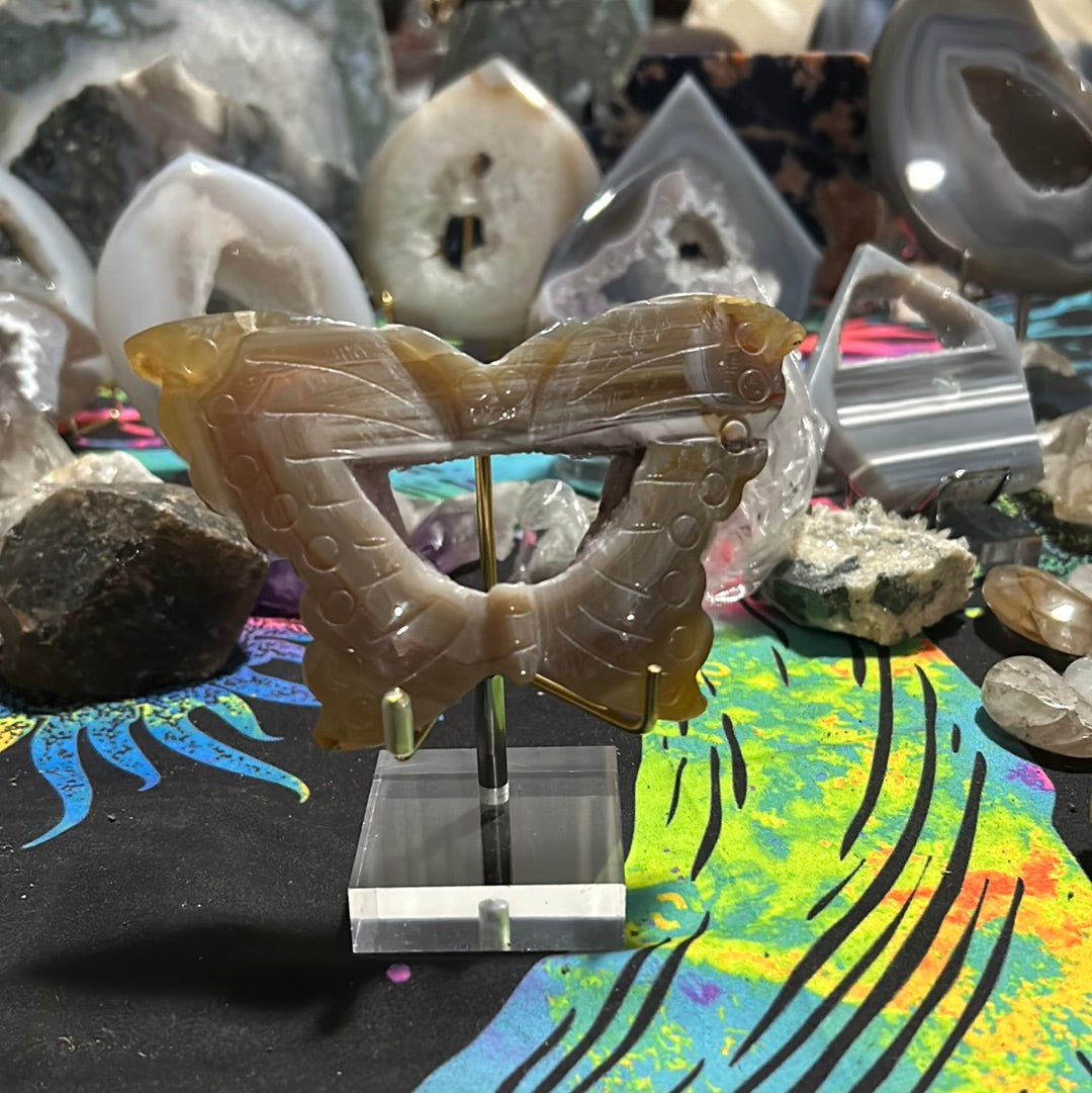 Agate Butterfly