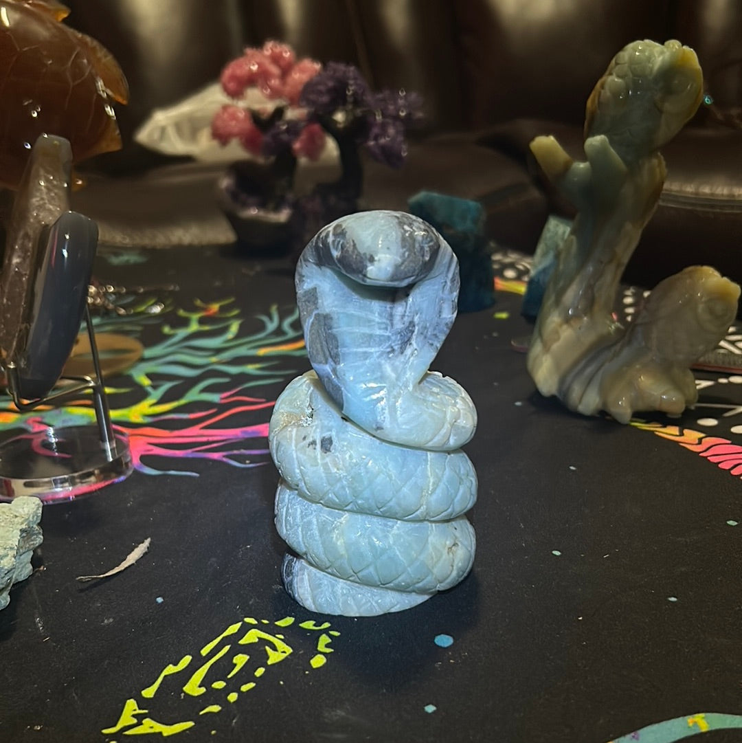 Caribbean calcite cobra