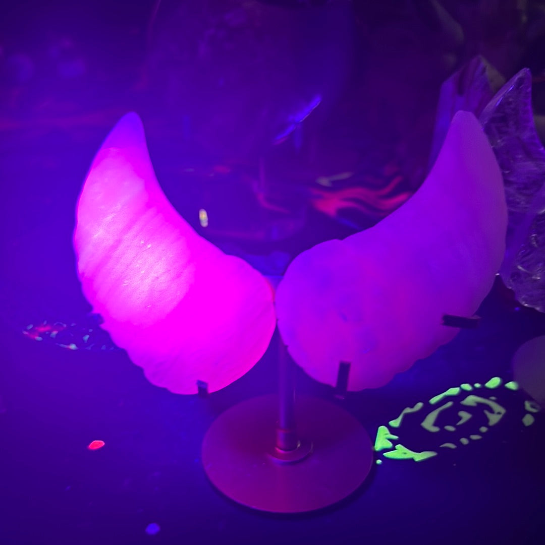 Pink Mangano angel wings