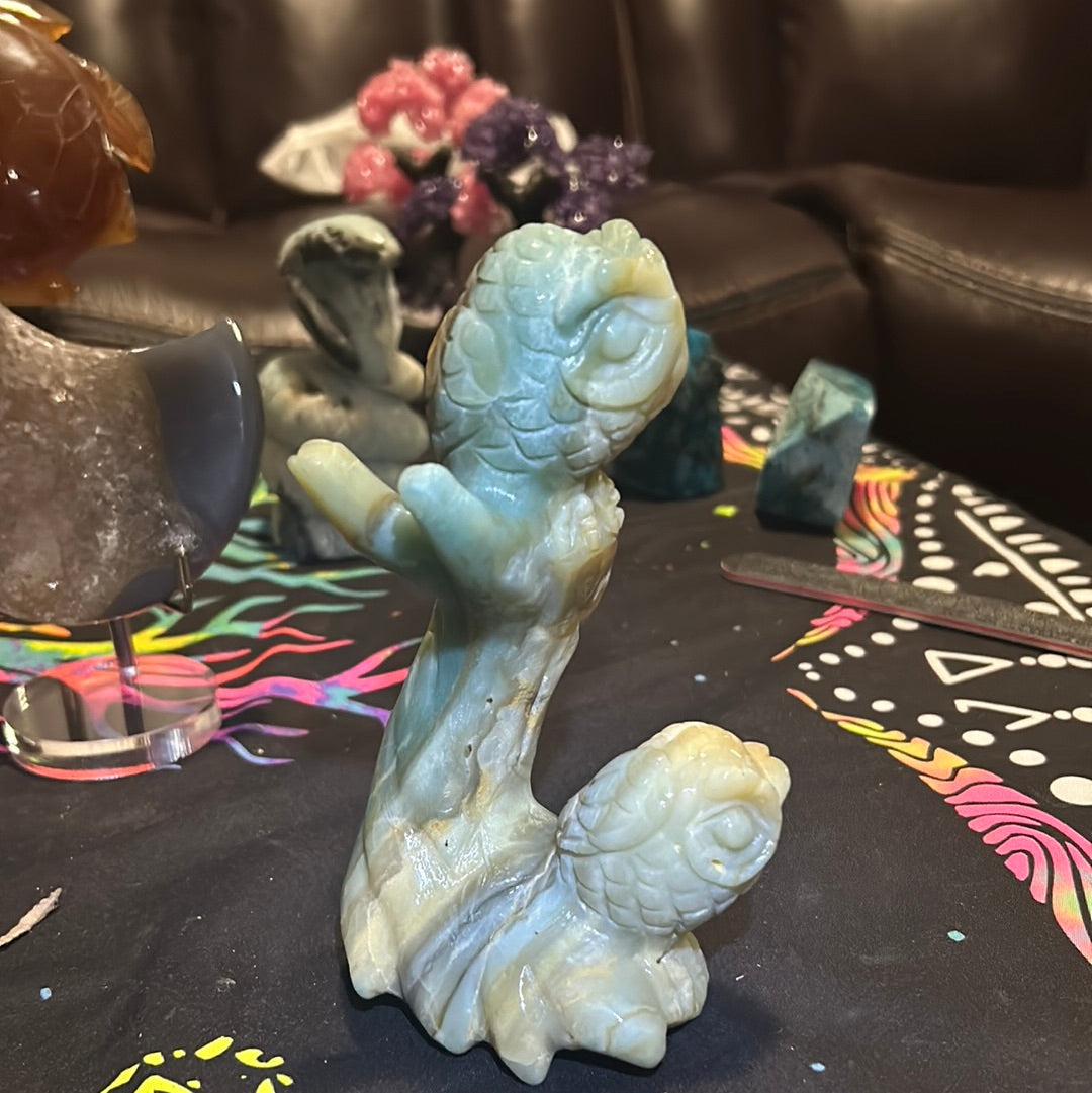 Caribbean calcite owls
