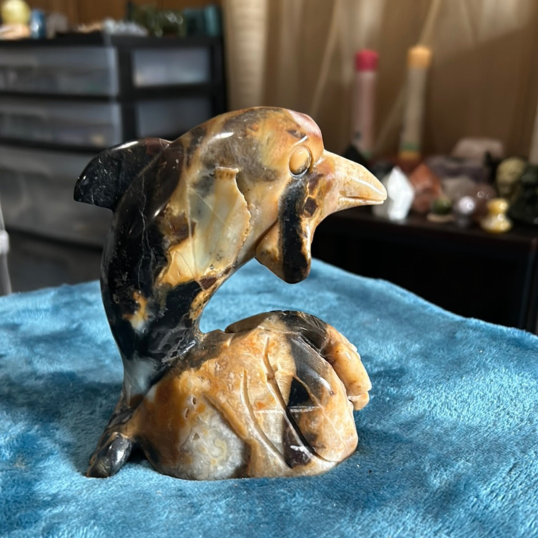 Caribbean calcite, dolphin