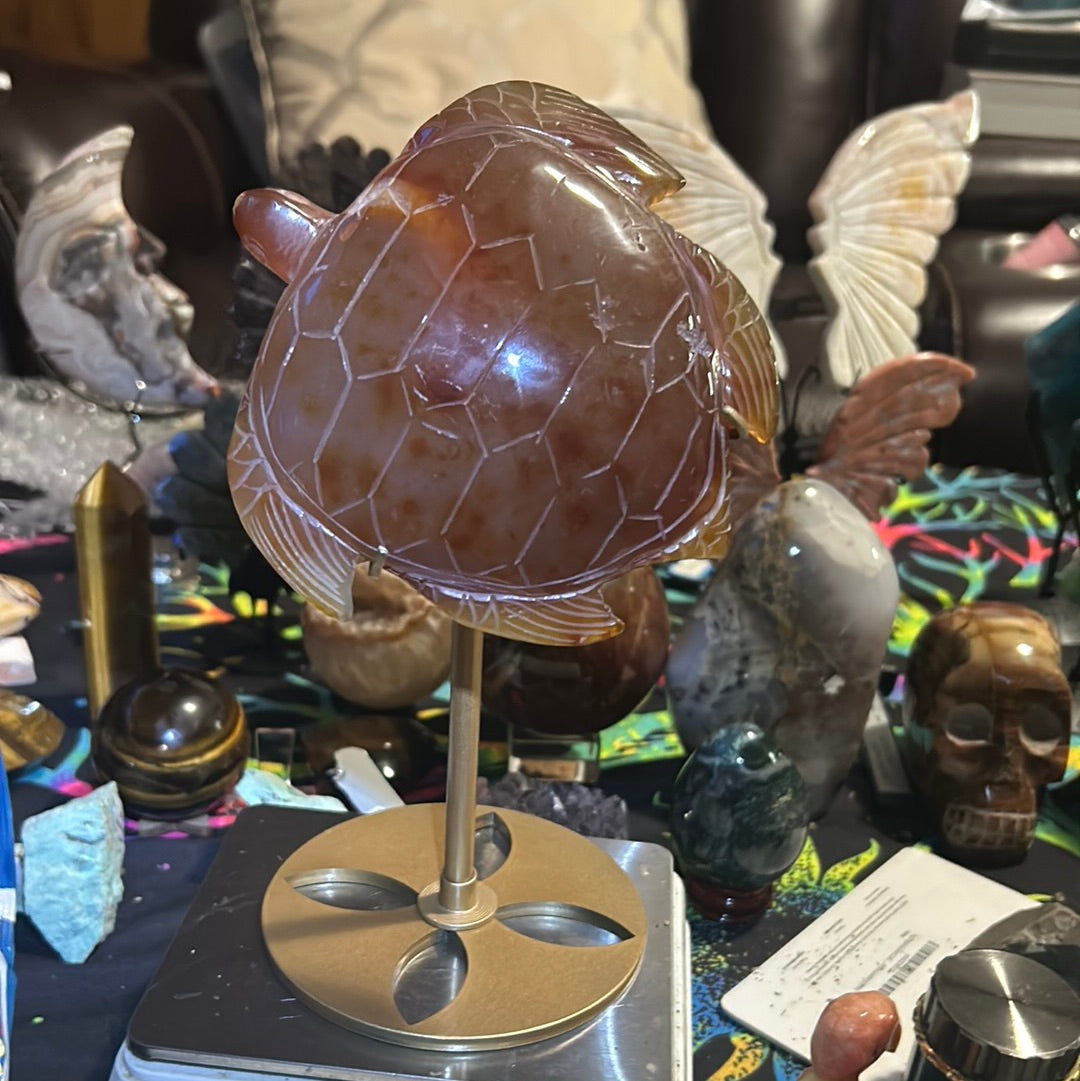 Carnelian turtle