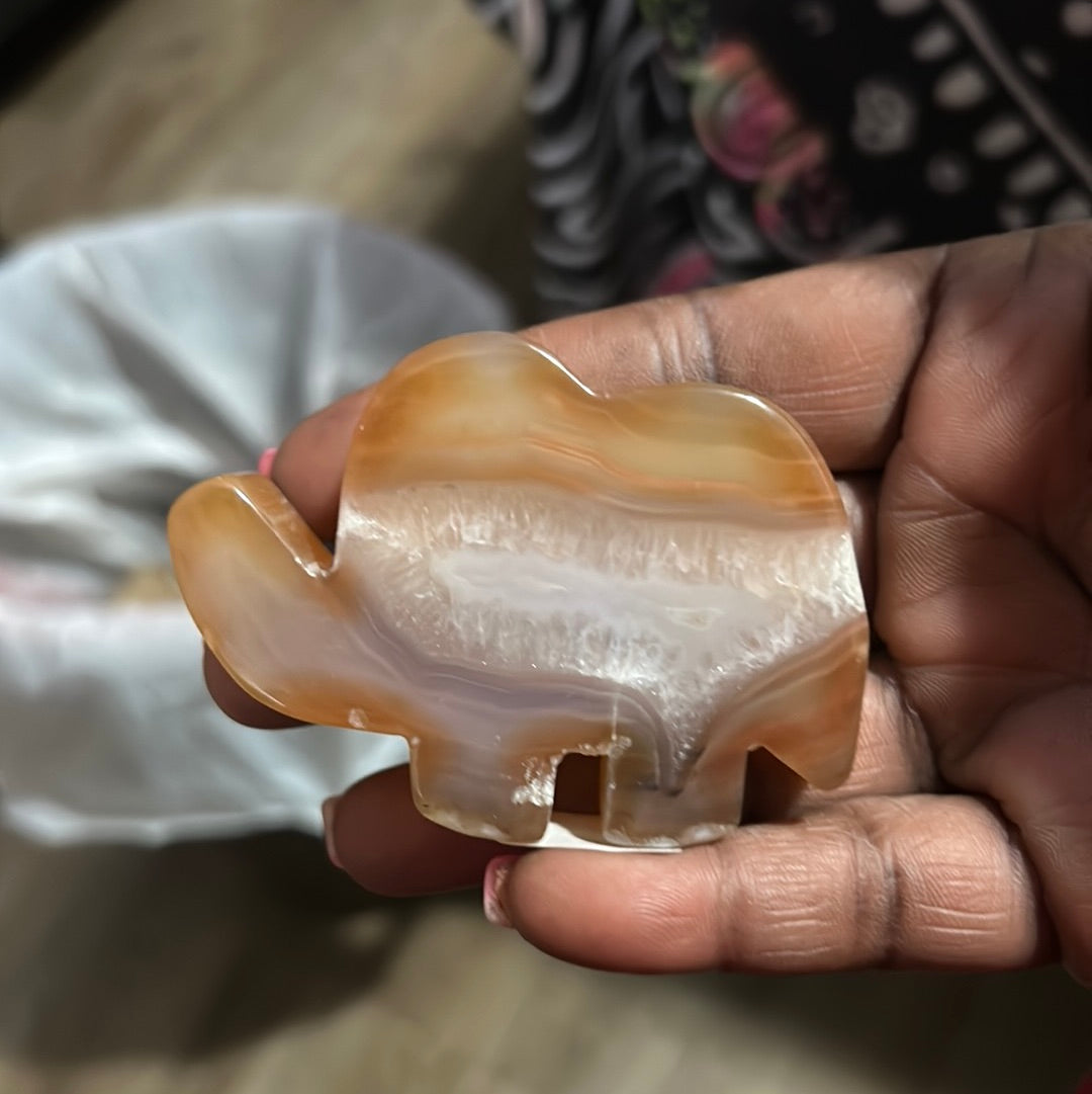 Agate elephant w/Druzy