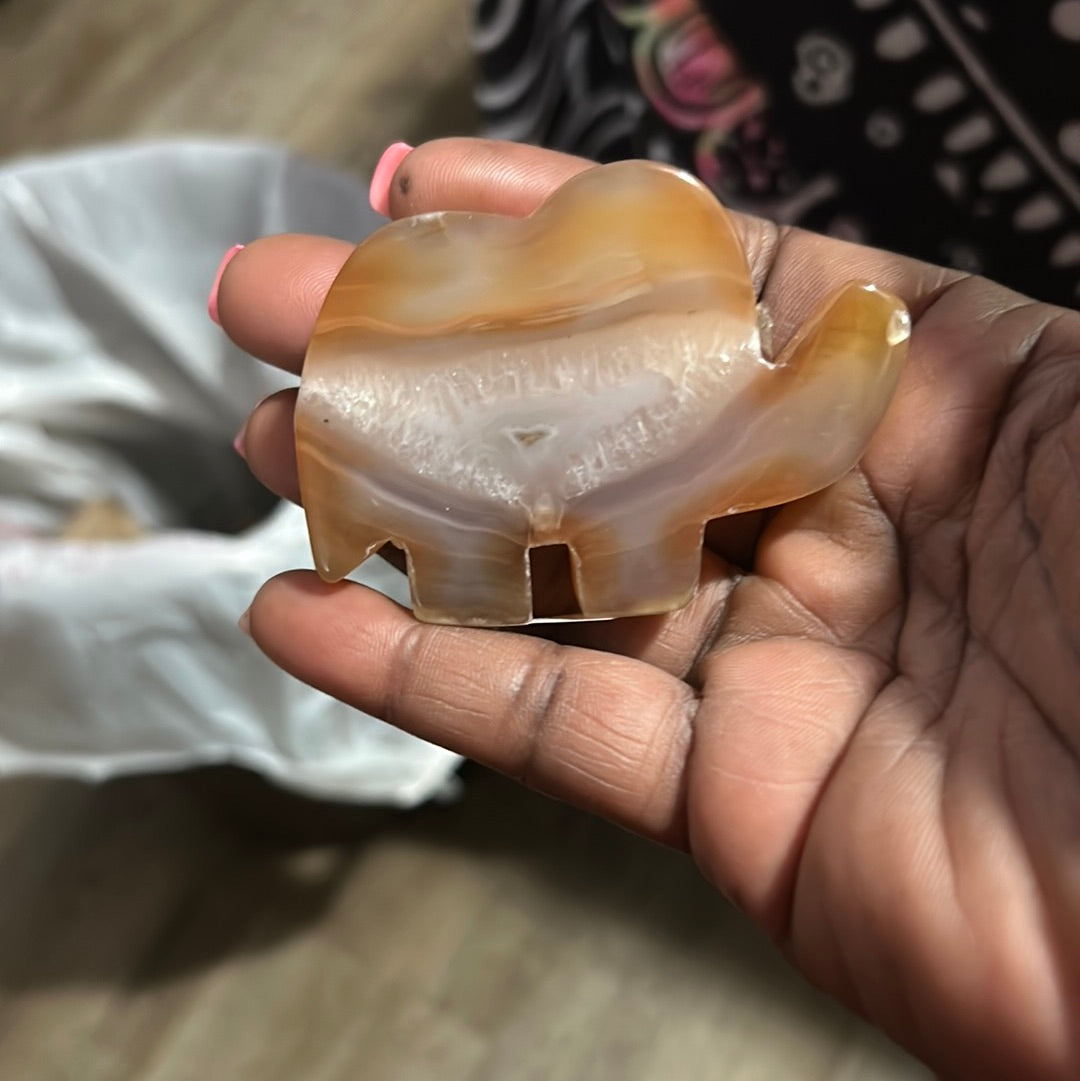 Agate elephant w/Druzy