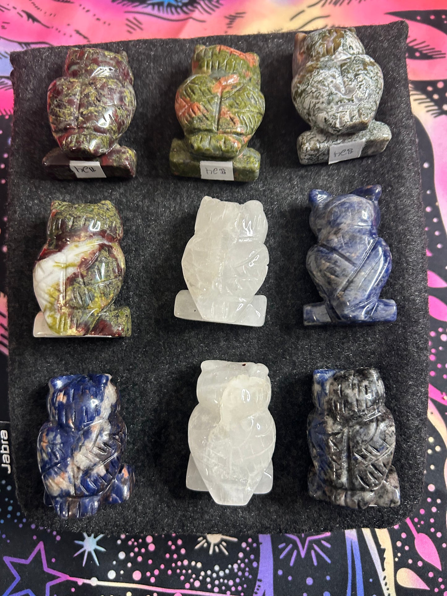 Beautiful Owls, buyers choice 