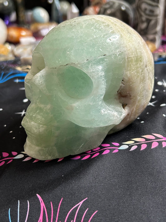 Caribbean calcite skull